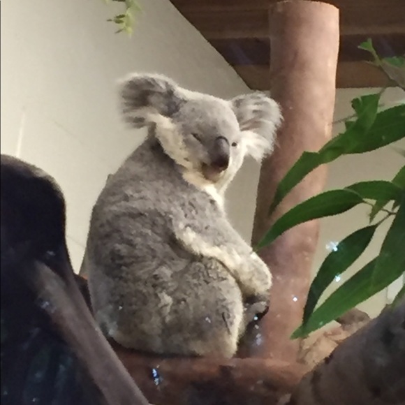 Meet your Posher, Cara - Picture 1 of 5